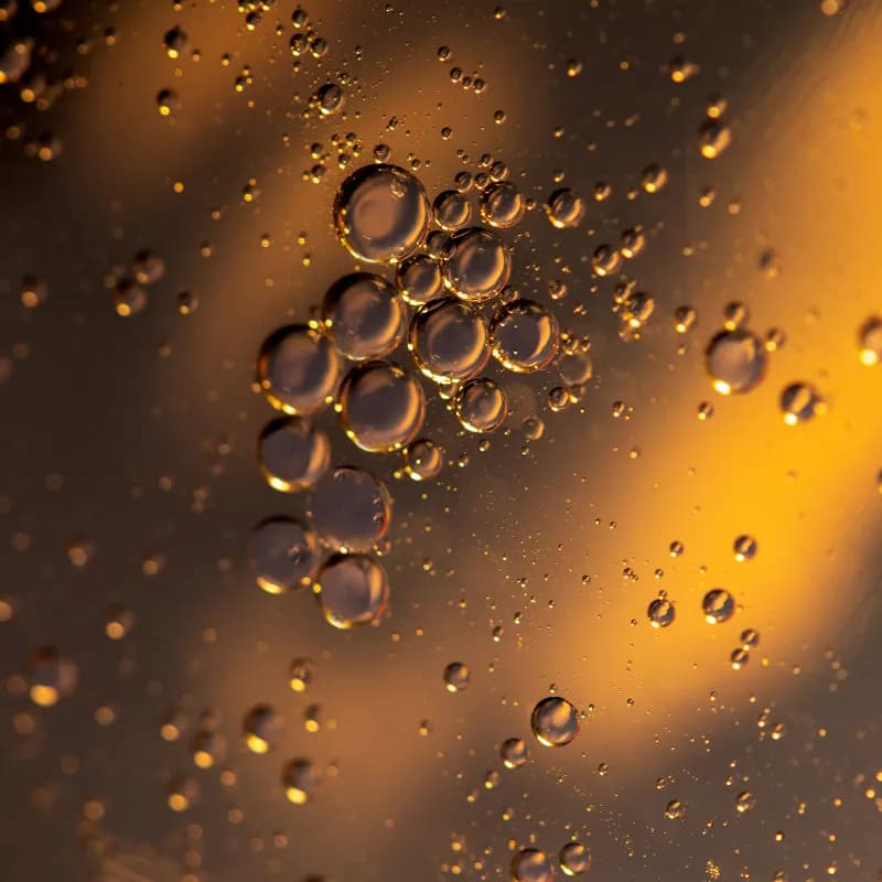 Background image for Rendered Products