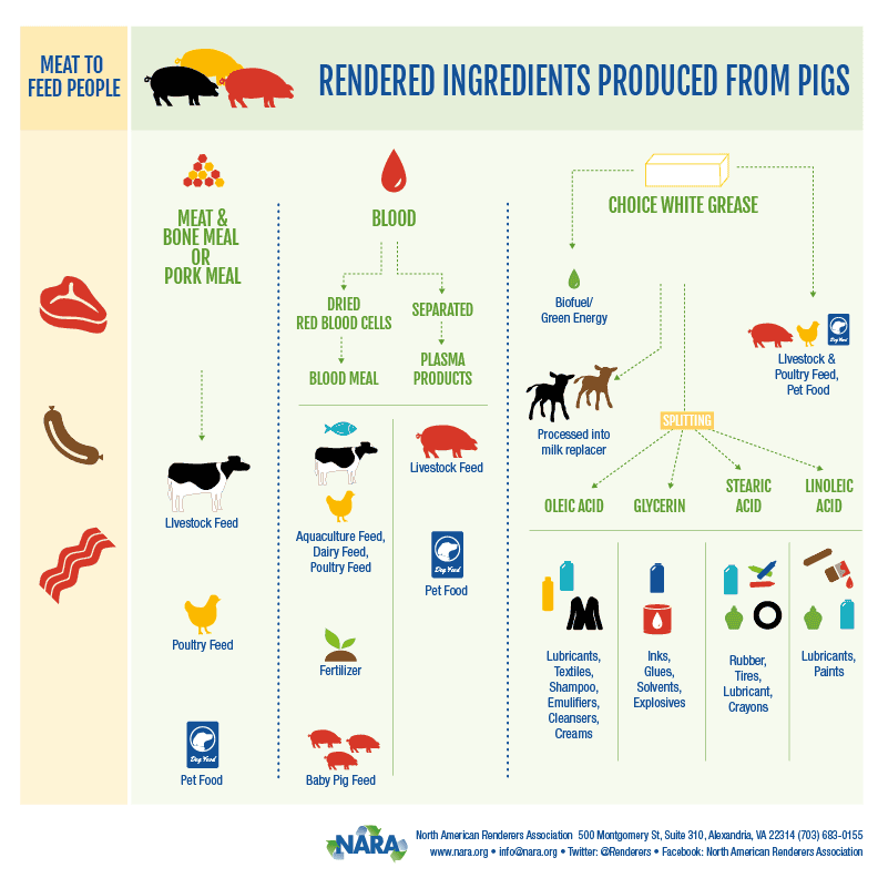 Rendered Ingredients Produced from Pigs