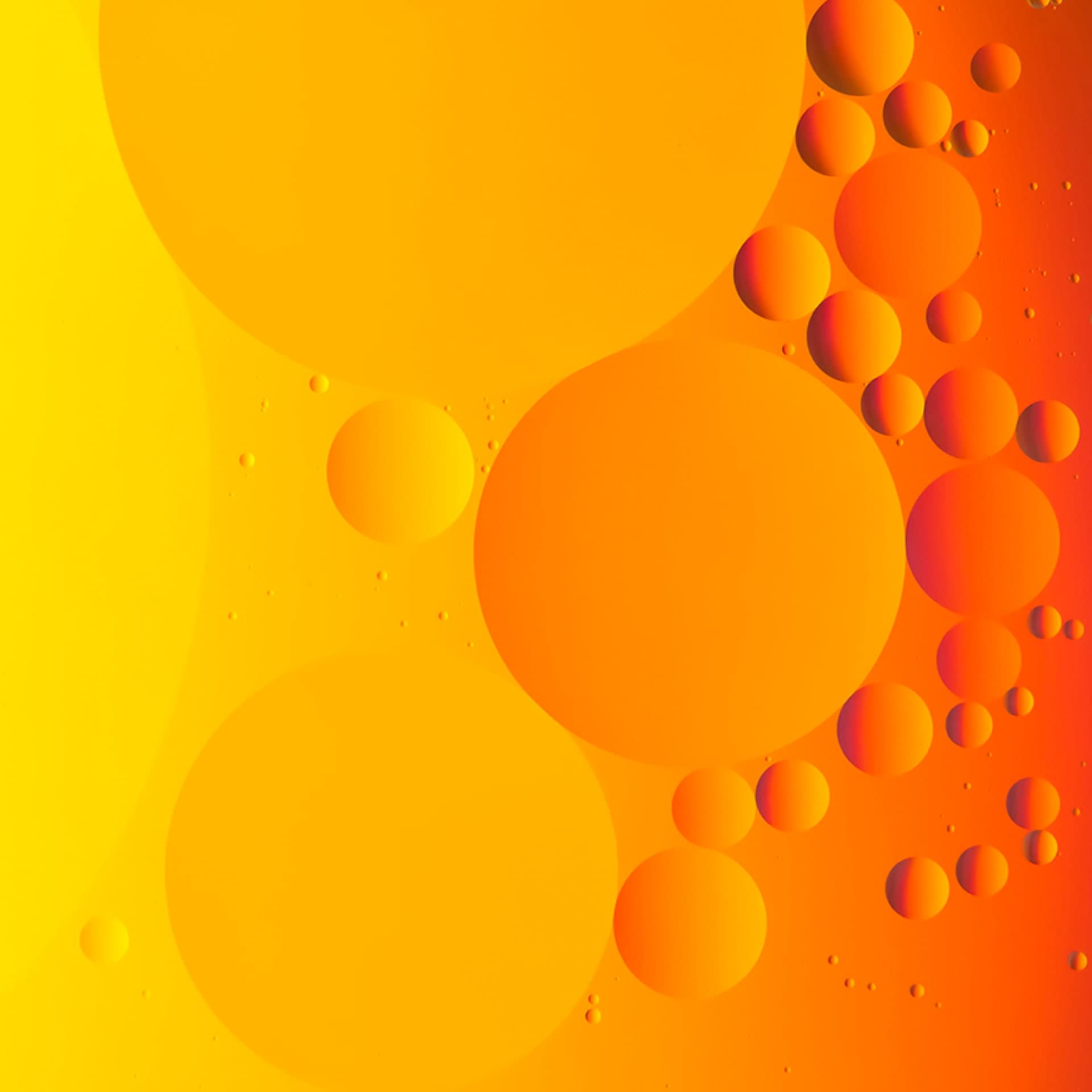 Audit confirms ethanol industry’s significant production of food and feed